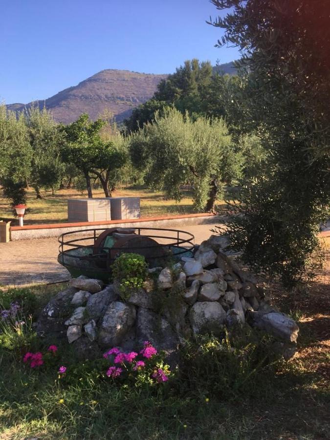 בית הארחה Sonnino 	Casa Fra Gli Ulivi Di Giuseppe מראה חיצוני תמונה